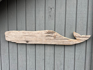 Driftwood 🐳 #2132
