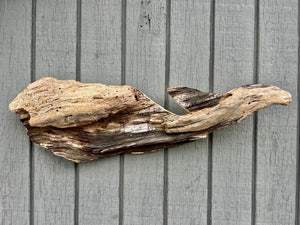 Driftwood Whale #2100