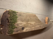 Load image into Gallery viewer, Mossy Whale
