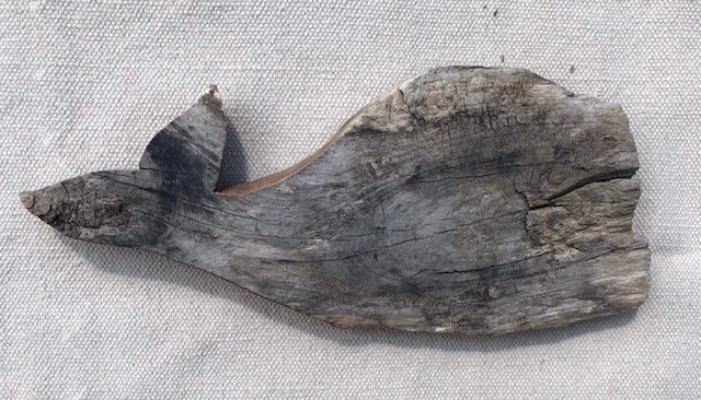 Driftwood Whale #2504 (Stubby)